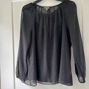 Point Sur J. Crew see-through sparkle top.